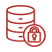 Can users print it through systems outside the protected environment?
